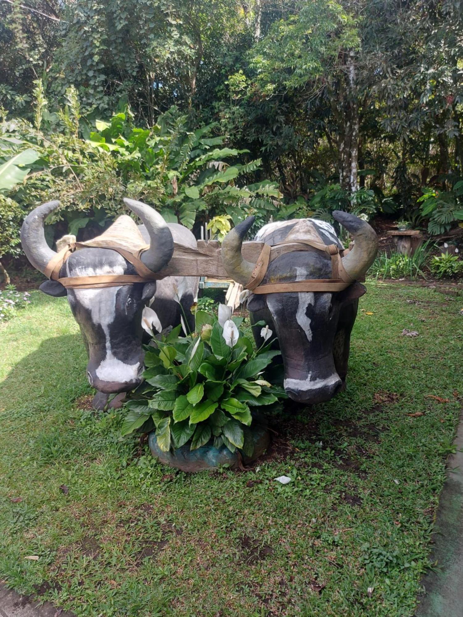 Alisson Hotel Y Restaurant Monteverde Exteriér fotografie